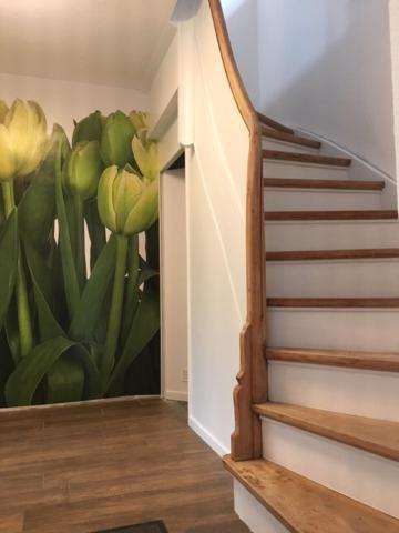 „suedblick“ Gemuetliche Doppelhaushaelfte Apartment Lastrup